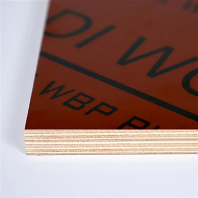 Depanarea delaminarii filmului-placaj cu față: analiza impactului mediului de...